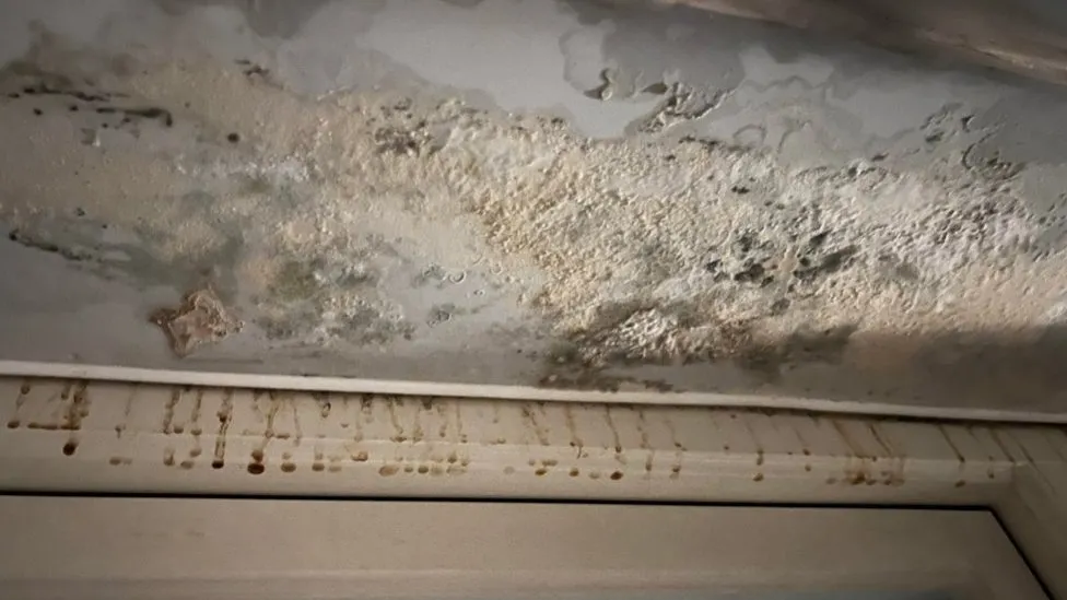 Mould and damp in home left young children in hospital